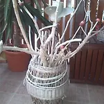 Claudia Rio Apartamento *